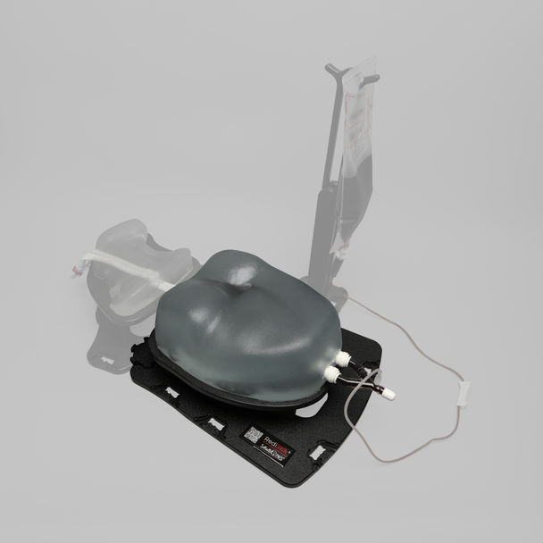 Ultrasound Right Heart Chamber and Valve Visualization Module, Clear Tone