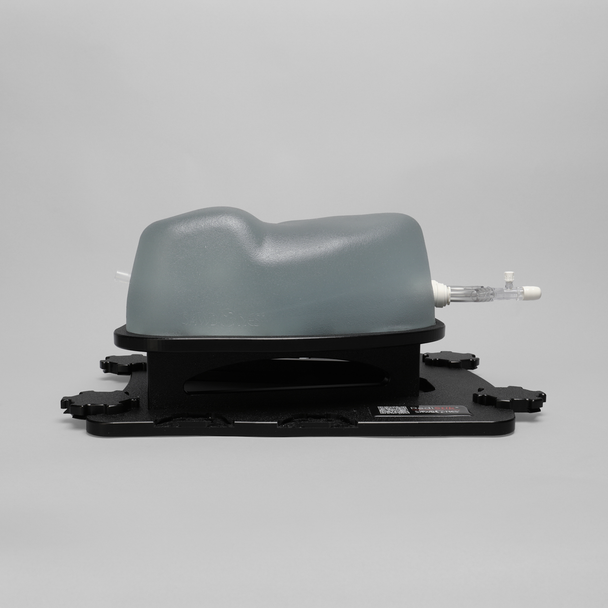 Ultrasound Right Heart Chamber and Valve Visualization Module, Clear Tone