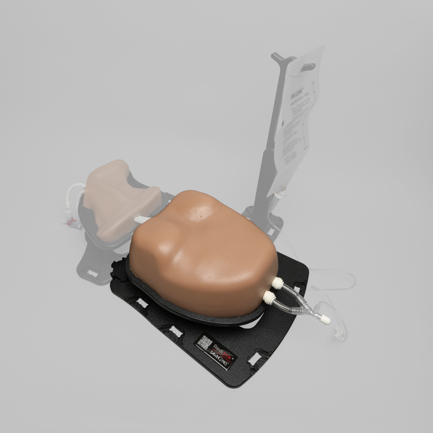Ultrasound Right Heart Chamber and Valve Visualization Module, Medium Tone