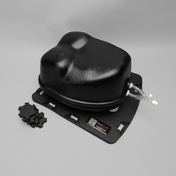 Ultrasound Right Heart Chamber and Valve Visualization Module, Medium Tone