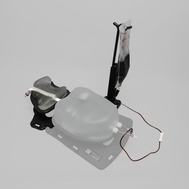 Ultrasound Internal Jugular and Carotid Cannulation Module, Clear Tone