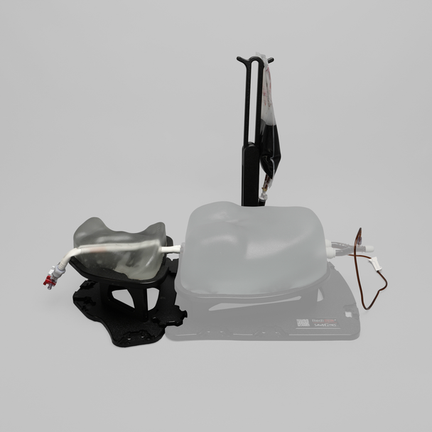 Ultrasound Internal Jugular and Carotid Cannulation Module, Clear Tone