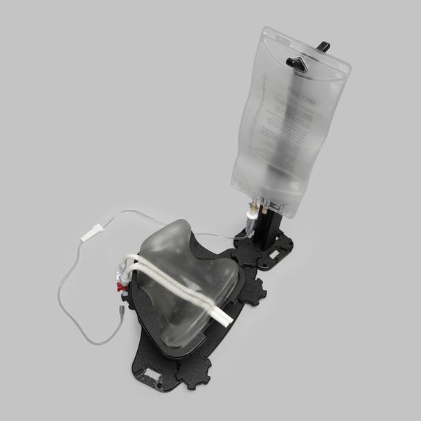 Ultrasound Internal Jugular and Carotid Cannulation Module, Clear Tone