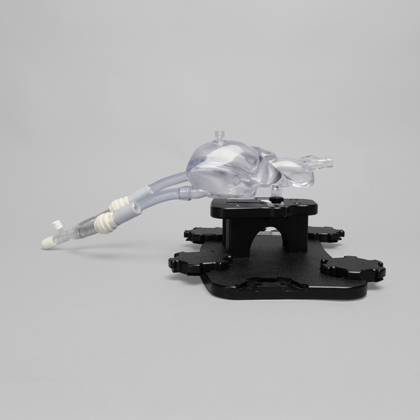 Clear Heart Visualization Module