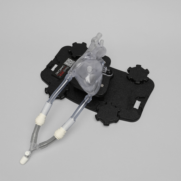 Clear Heart Visualization Module