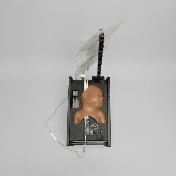 Ultrasound Neonatal Internal Jugular and Carotid Cannulation Trainer, Medium Tone
