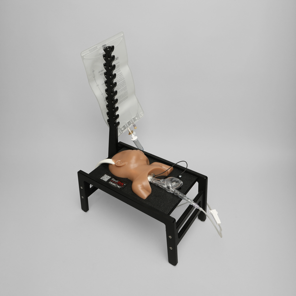 Ultrasound Neonatal Internal Jugular and Carotid Cannulation Trainer, Medium Tone