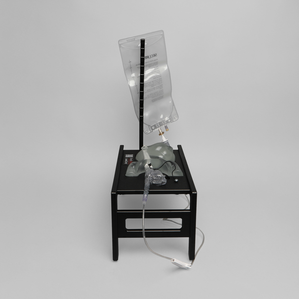 Ultrasound Neonatal Internal Jugular and Carotid Cannulation Trainer, Clear Tone