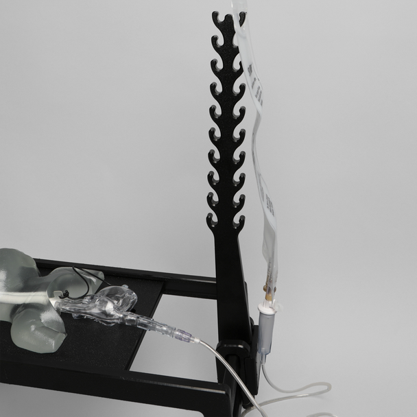 Ultrasound Neonatal Internal Jugular and Carotid Cannulation Trainer, Clear Tone