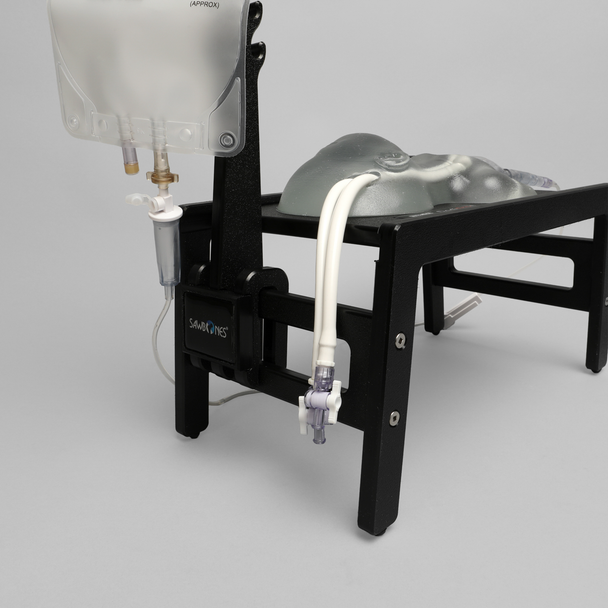 Ultrasound Neonatal Internal Jugular and Carotid Cannulation Trainer, Clear Tone
