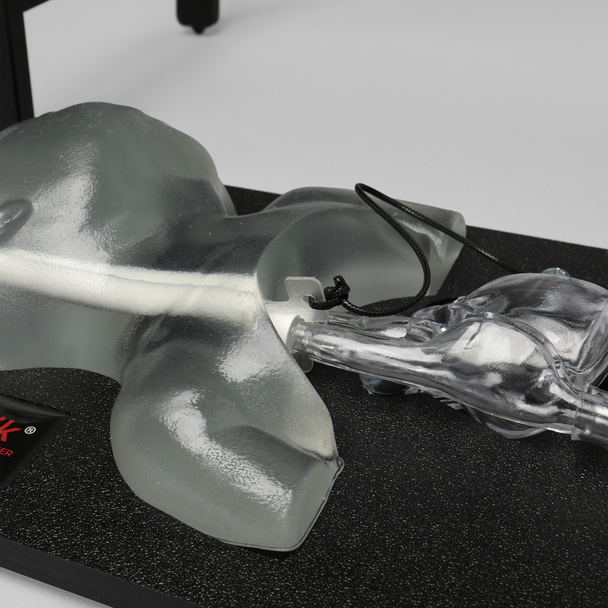 Ultrasound Neonatal Internal Jugular and Carotid Cannulation Trainer, Clear Tone