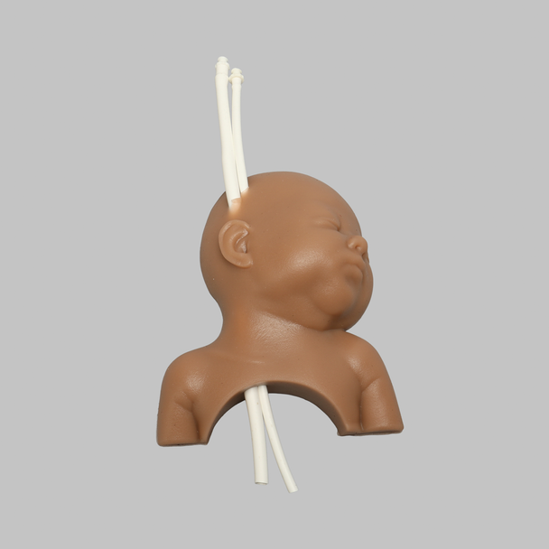 Ultrasound Neonatal Internal Jugular and Carotid Cannulation Replacement, Medium Tone