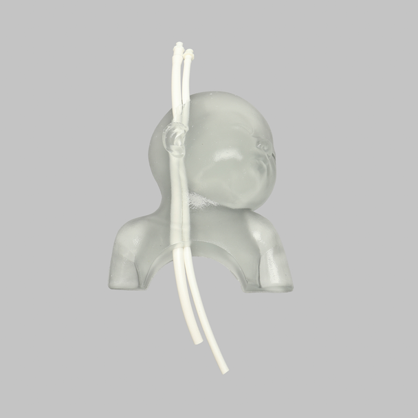 Ultrasound Neonatal Internal Jugular and Carotid Cannulation Replacement, Clear Tone