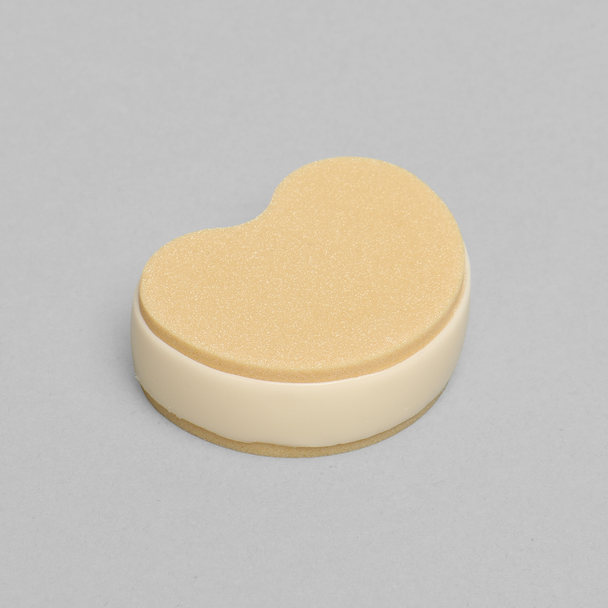 E3 Biomechanics Viscoelastic Lumbar Disc