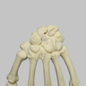 Hand with Moveable Scaphoid, Solid Foam