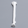 Radius, Solid White Plastic, Right