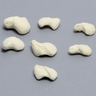 Scaphoid, Set of Seven, Solid Foam