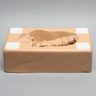 Lumbar Holder, Base Unit L1-Sacrum