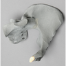 Pelvis, Female Partial, Radiopaque