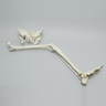 Pelvis with Removable Leg, Full Female, Solid Foam and Foam Cortical