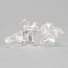 Vertebra C7, Solid Clear Plastic