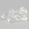 Vertebra C7, Solid Clear Plastic