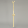 Knee with Stretch Tube Ligaments, Full Length, Medium