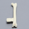 Feline Femur with Vise Attachment
