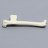Feline Femur with Vise Attachment