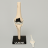 Total Knee Modular Demonstrator