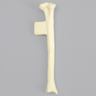 Feline Tibia with Vise Attachment
