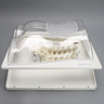 Lumbar Holder, L1-Sacrum, Clear Shell Torso
