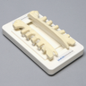 Sternum Repair Simulator, Solid Foam