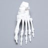 Foot, Solid White Plastic, Left