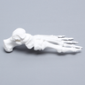 Foot, Solid White Plastic, Left