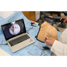 PAC Camera - Portable Arthroscopy Camera System 30°