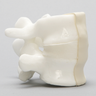 Lumbar Vertebrae, L4-L5, With White Disc