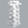 Cervical Spine with Posterior Ligament and White Discs