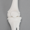 Knee, Pediatric, Solid White Plastic