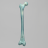 Femur, absolute™ Osteo, 10 PCF Solid Foam with 16 mm Canal, Medium