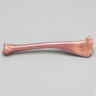 Ovine Tibia, absolute™ 4th Gen., Composite, 17 PCF Solid Foam Core, Large