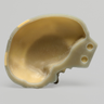 Partial Skull, absolute™ 4th Gen., 20 PCF Solid Foam Core, Left