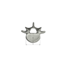 Lumbar L5, absolute™ 4th Gen. with 20 PCF Solid Foam Cancellous