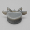 Lumbar L5, absolute™ 4th Gen., Large