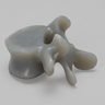 Lumbar L5, absolute™ 4th Gen., Large