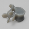 Lumbar L5, absolute™ 4th Gen., Large