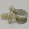 Lumbar L4, absolute™ 4th Gen., Large