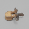 Lumbar L3, absolute™ 4th Gen., 5 PCF Solid Foam Core, Large