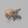 Lumbar L3, absolute™ 4th Gen., 5 PCF Solid Foam Core, Large