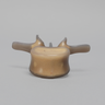 Lumbar L3, absolute™ 4th Gen., 5 PCF Solid Foam Core, Large